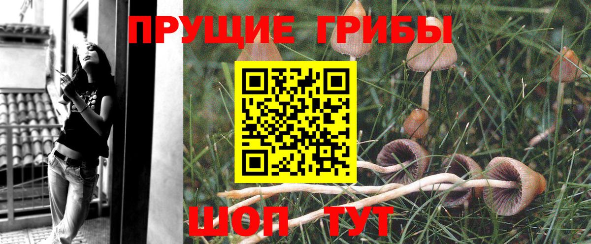 Лысьва  Галлюциногенные грибы Cubensis  Вход с VPN  Галлюциногенные грибы Magic Shrooms 