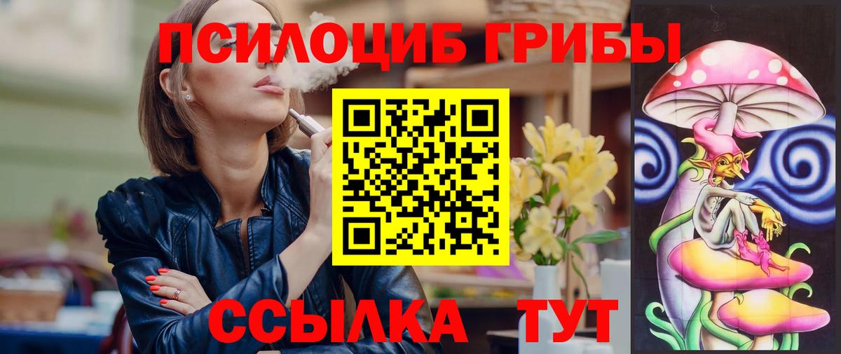 Галлюциногенные грибы Psilocybine cubensis Лысьва